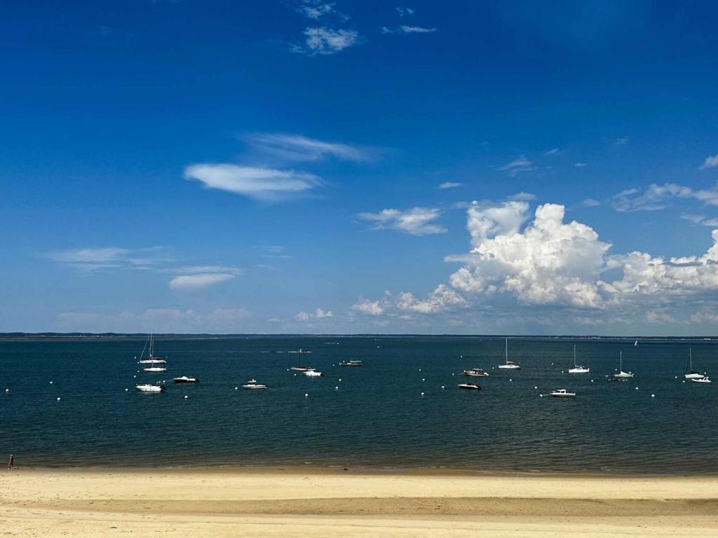 Résidence Eugenie - T2 vue Bassin, accès direct plage, Arcachon MAE-8914 - 1