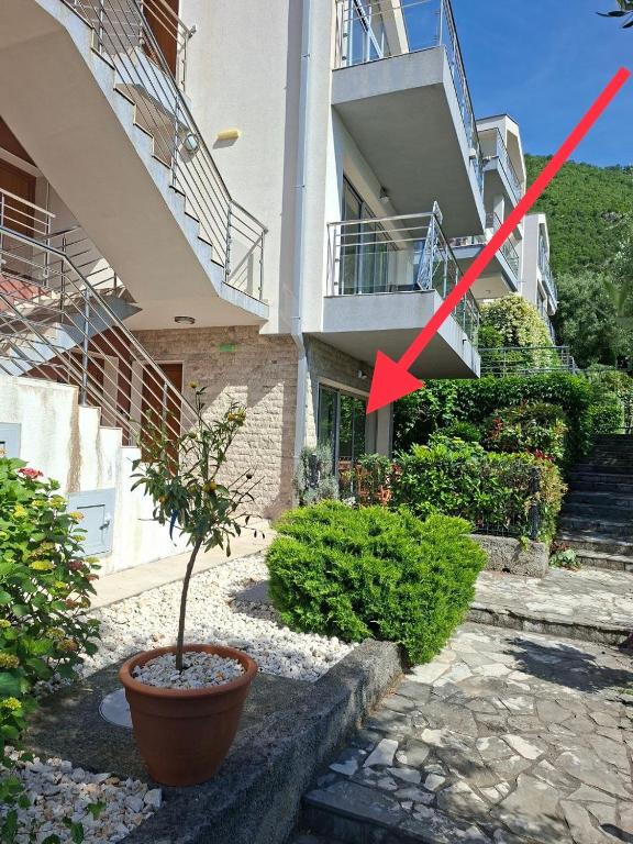 Acacia Hill olive tree apartment - 2