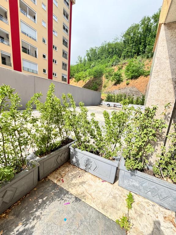 Becici Garden - 5