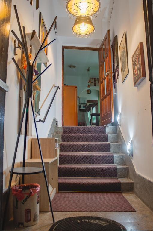 Pink Houdini Home, Sarajevo