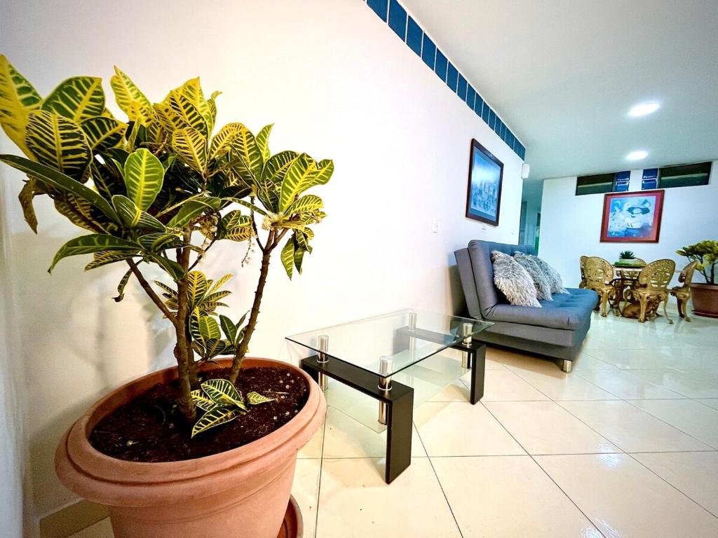 Comfort Envigado 7 people - 3