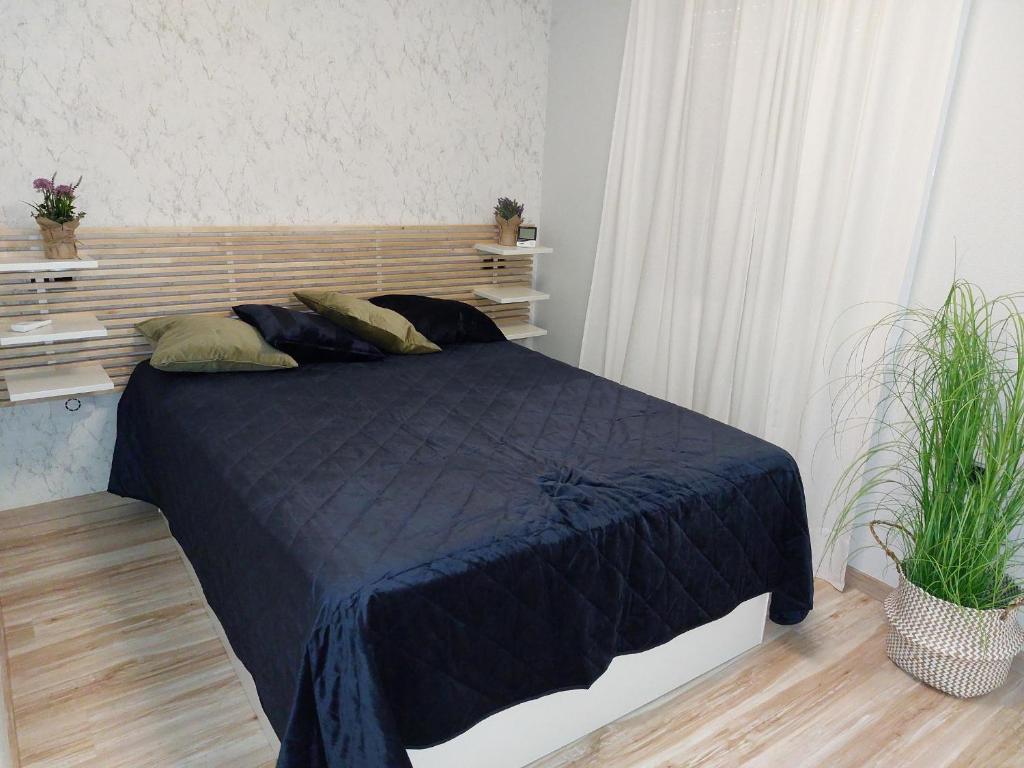 Casa Angelina - 2