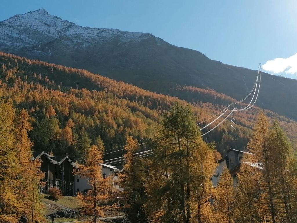 Great apartment with visual contact to Alpin Express - 5