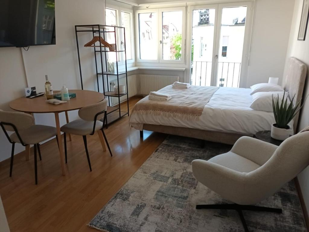 Smart studio in the city center - Crown 46, Curych