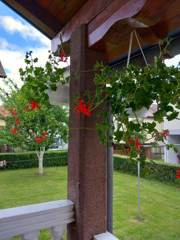 Apartment Ramdedovic1 - 3
