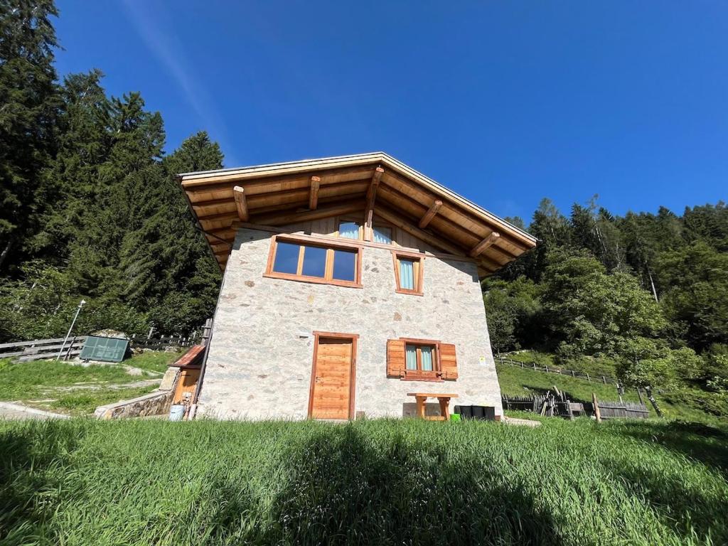 Mountain Chalet Splazoi - 1