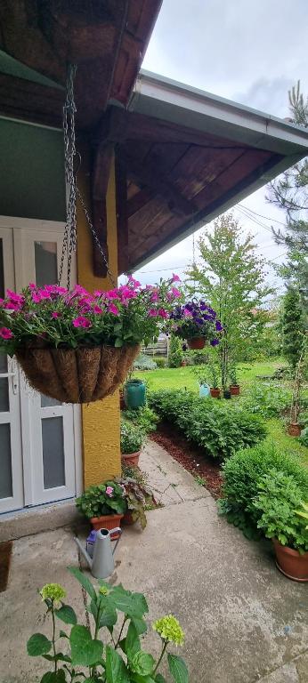 Natura Apartment - 4