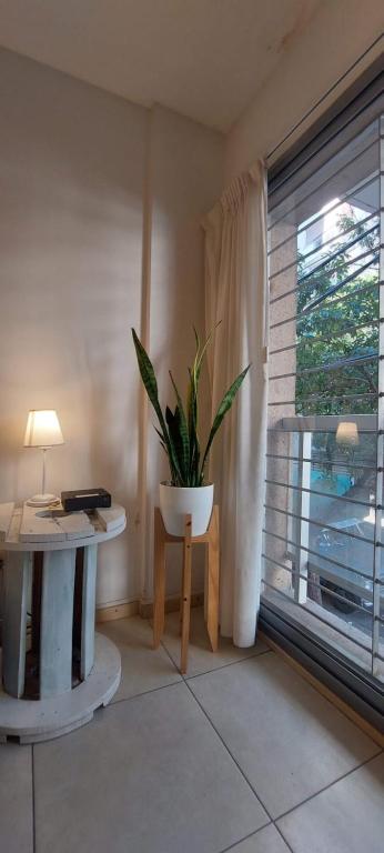 Gala Temporarios Dptos Rosario Centro - 2