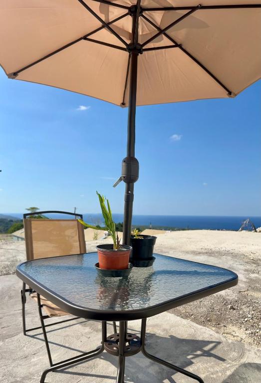 The Camelot Oasis, Discovery Bay