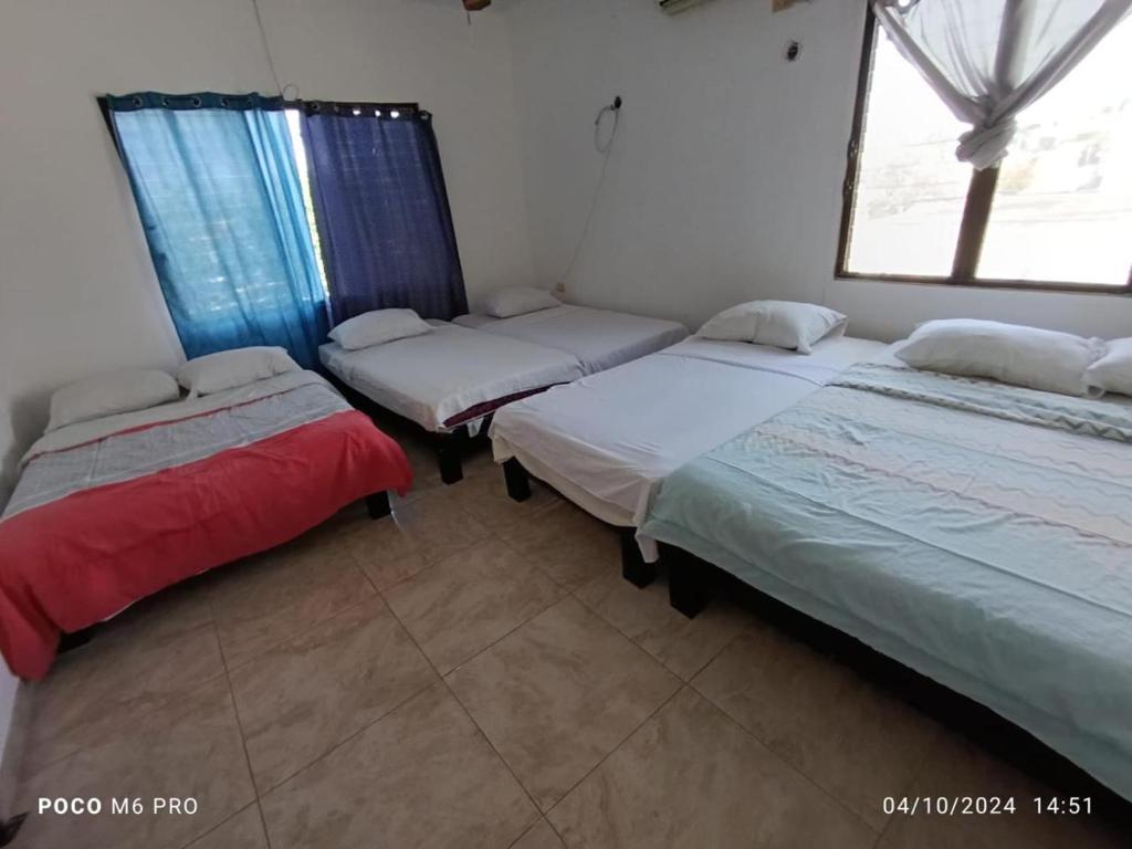 casa abel frac - 2