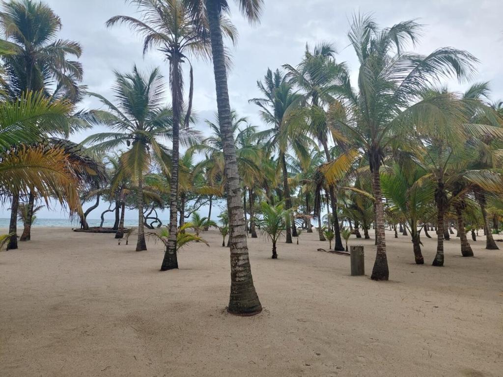 Cabaña frente al mar en la playa del Calao - 3