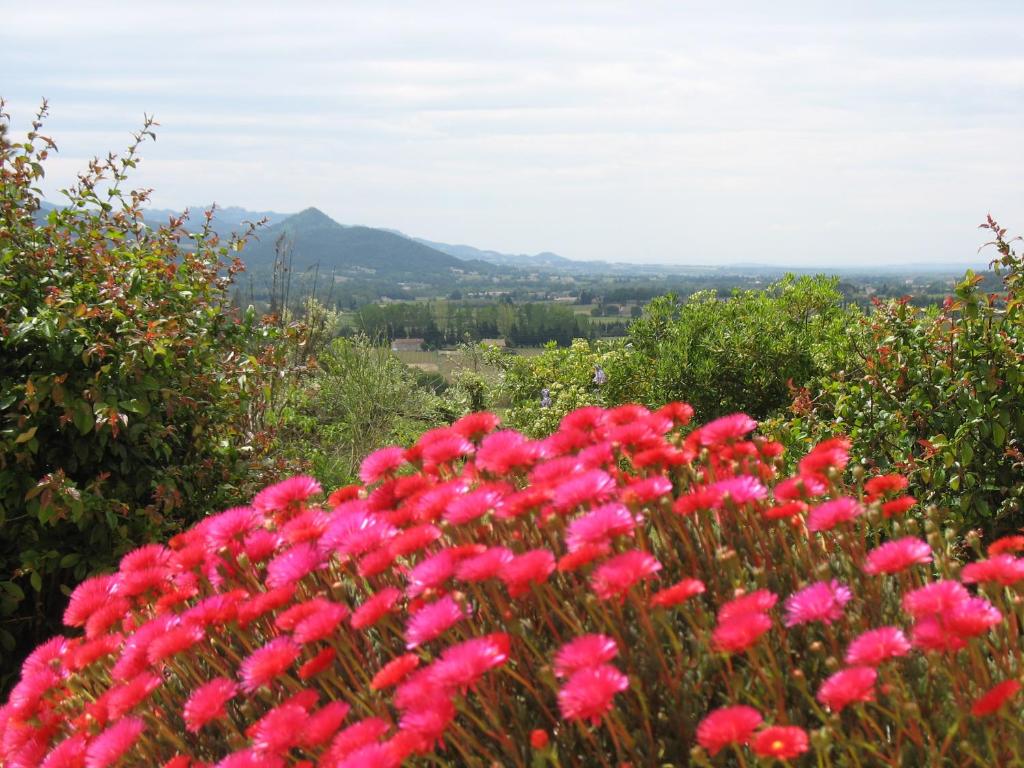 B&B La Cigaline - 4