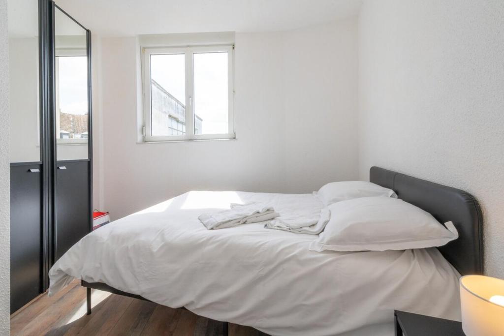 Le Bâle 24 Très Bel Appartement Centre Mulhouse - 4