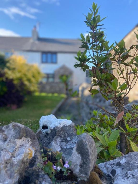 Forge Cottage, Porthcawl