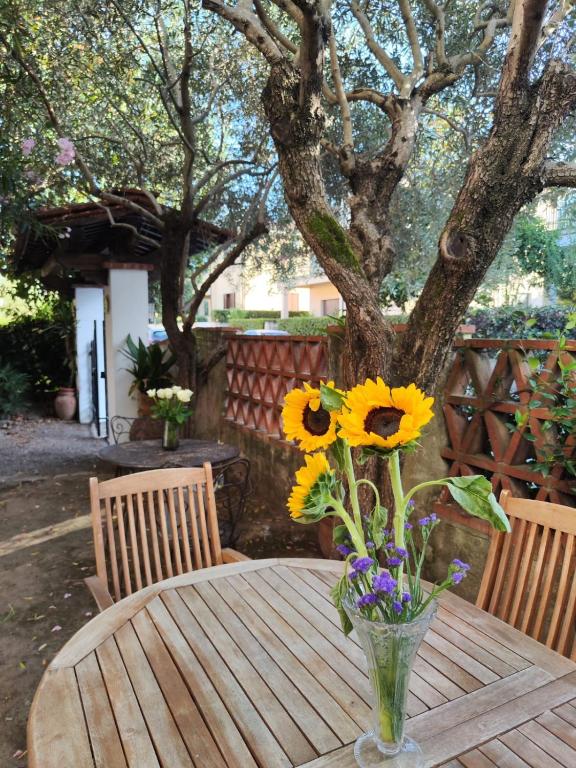 Gabri House Art gallery b&b - 1