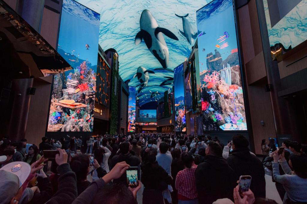 アクティビティ