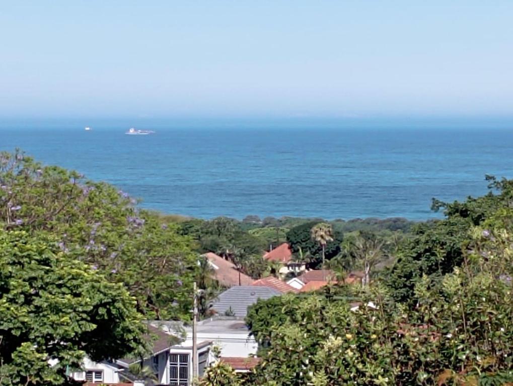 Blue Ocean - Dolphin unit, Durban