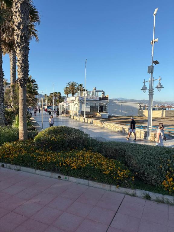Ideal sol y playa - 2