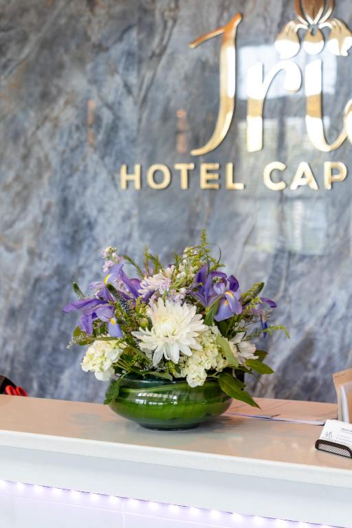 Iris Hotel Cape Cod, Falmouth