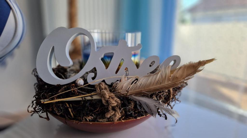 Ostseeeule, Graal-Müritz