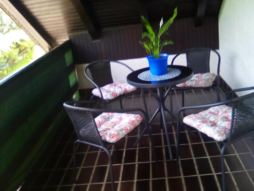 Apartman JAGAR, Ogulin