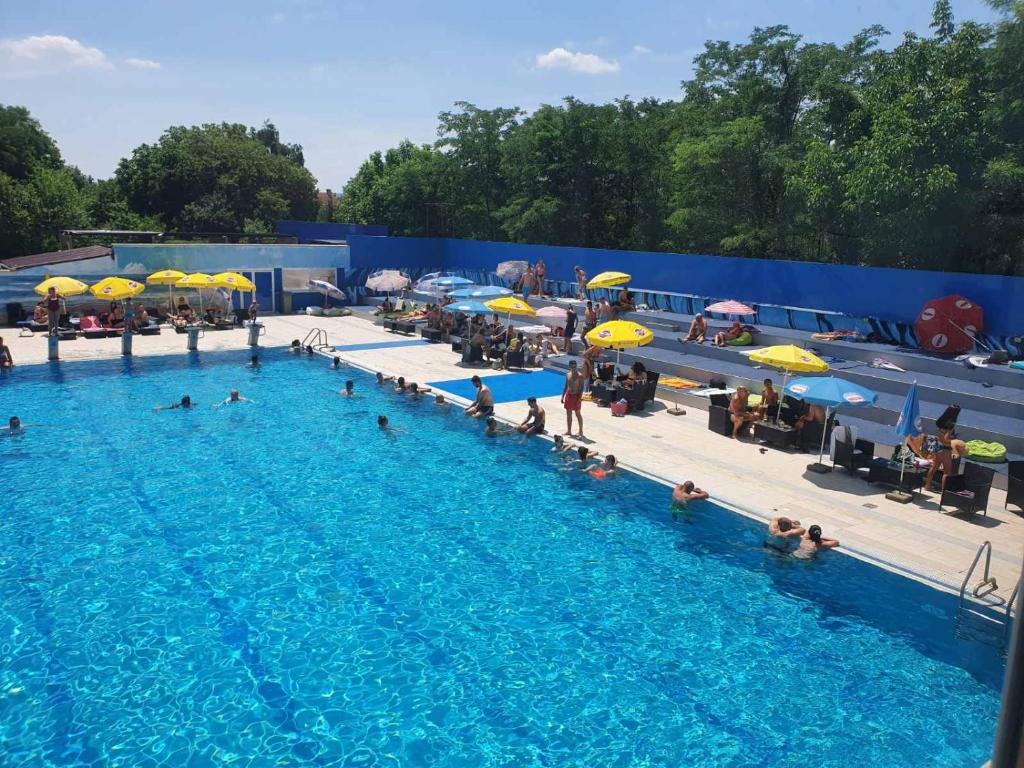 Hotel Alfa - 5