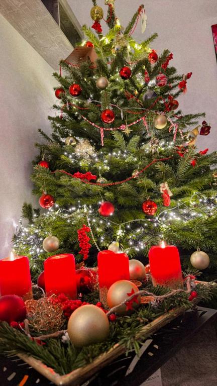 Exklusive room in Starnberg lake, Starnberg