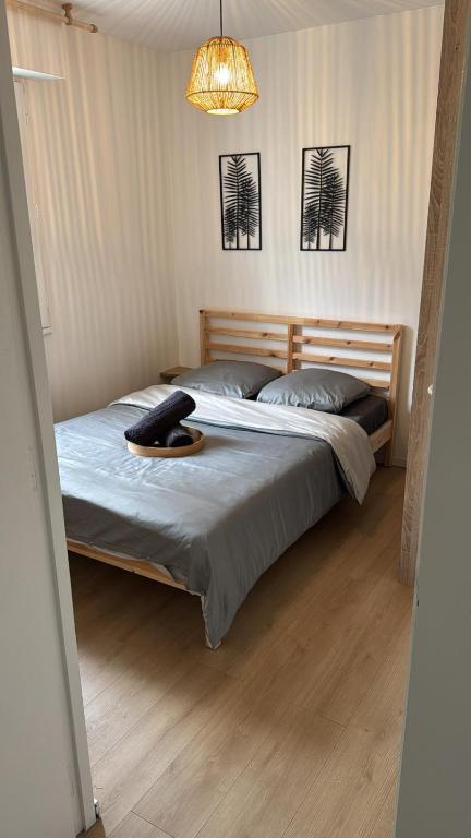 DaxLodge T3 cosy - 3