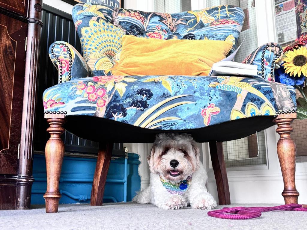 The Sheldon B&B - FREE private parking, Eastbourne