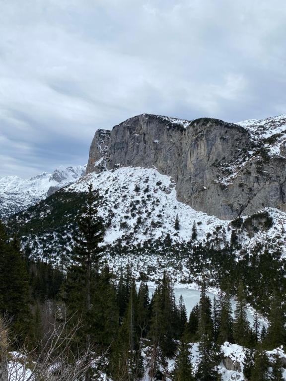 Guesthouse Andrea A - 4