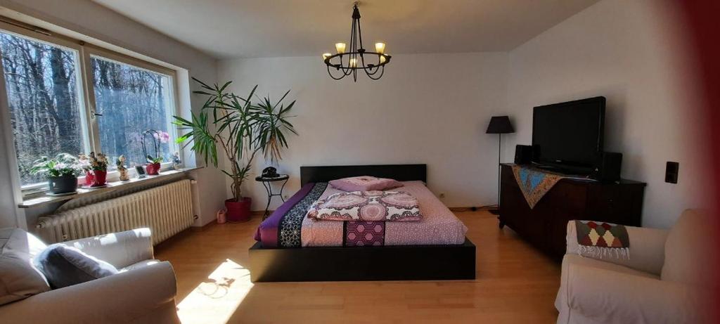 Forest Inn, retreat in nature, Saarbrücken