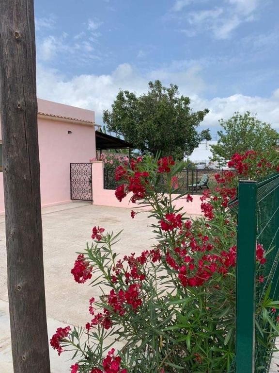 Casita Flamingo - 4