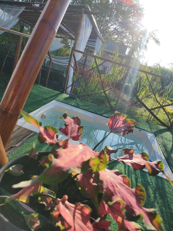 La Villa Glamping - 5