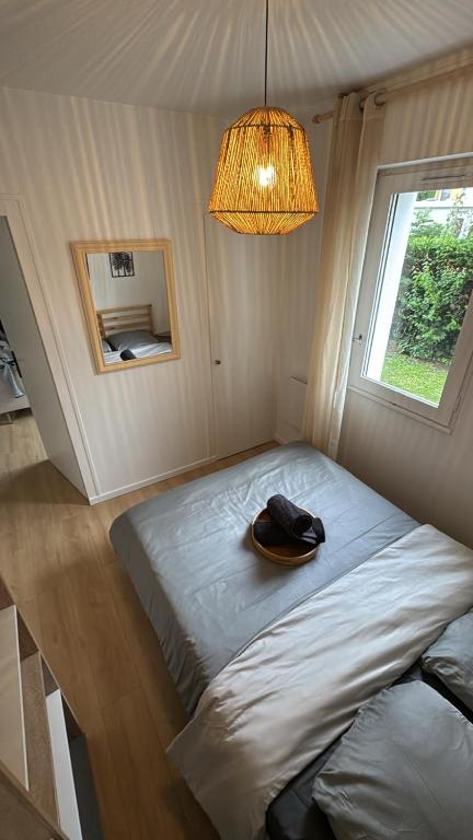 DaxLodge T3 cosy - 5