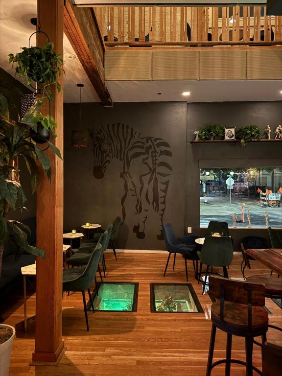 Unicorn Zebra, Tucson