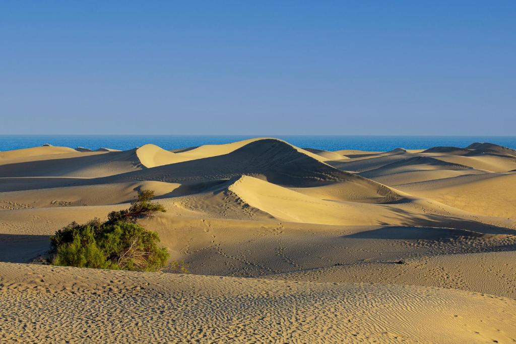 Apartment with stunning view Maspalomas Dunes, Playa del Inglés