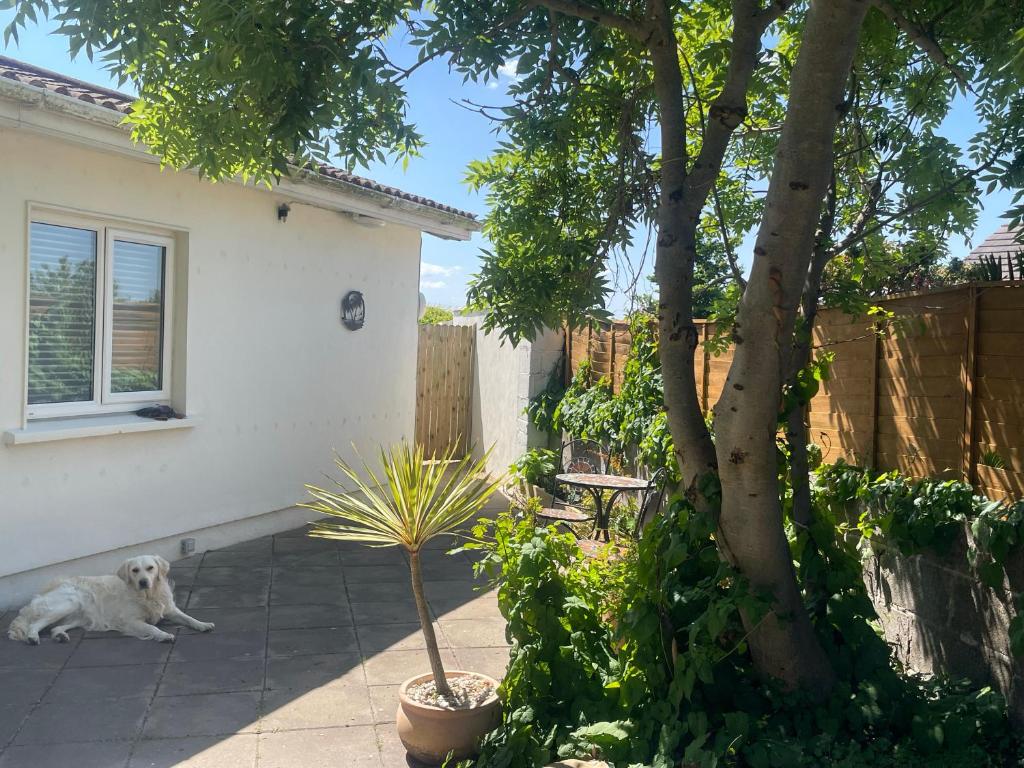 To The Beach!, Loughshinny