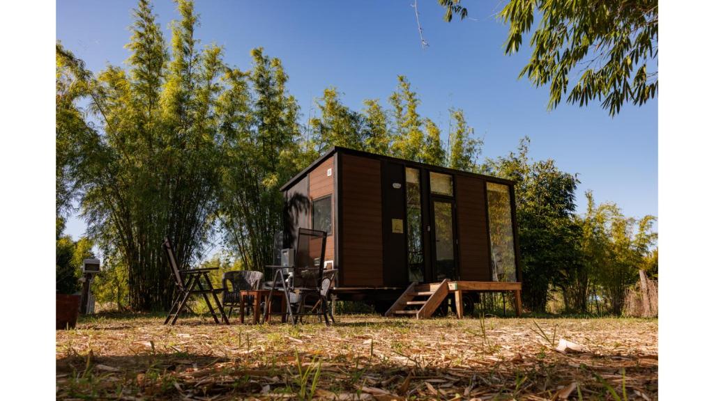 Bamboo Grove by Tiny Away, Bauple