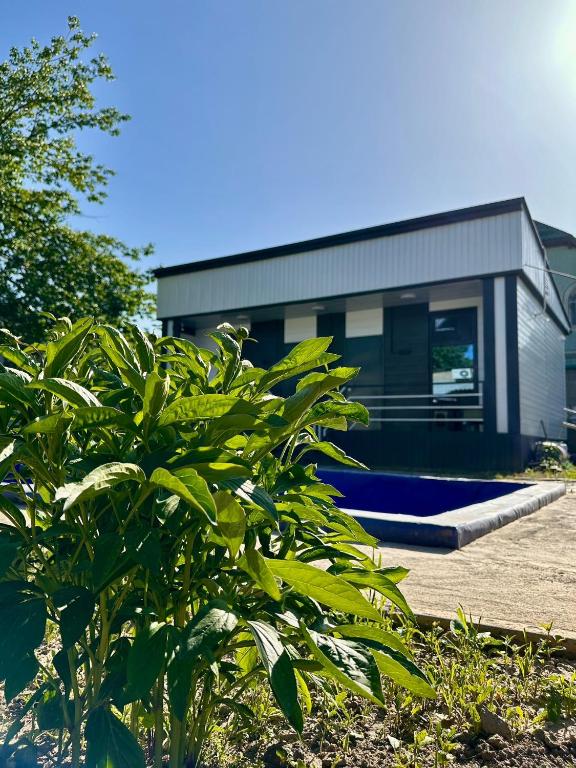 Nomads Home, Bishkek