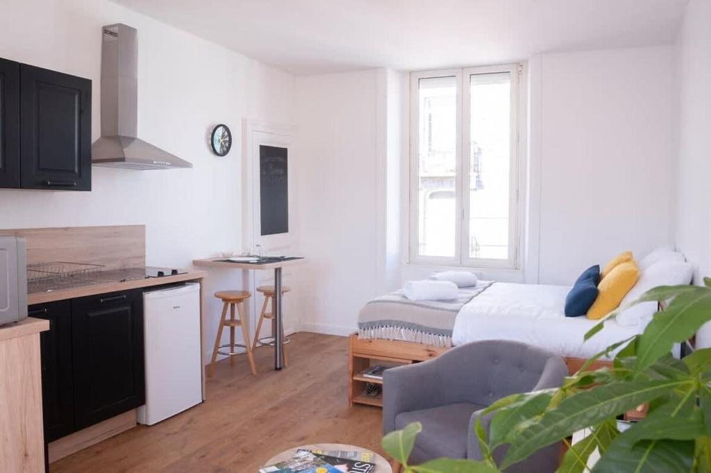 Le Saint-étienne studio moderne et lumineux - 4