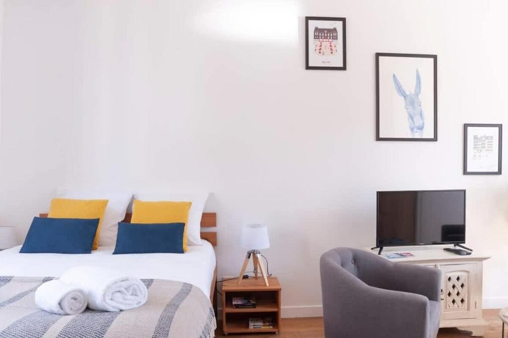 Le Saint-étienne studio moderne et lumineux - 5