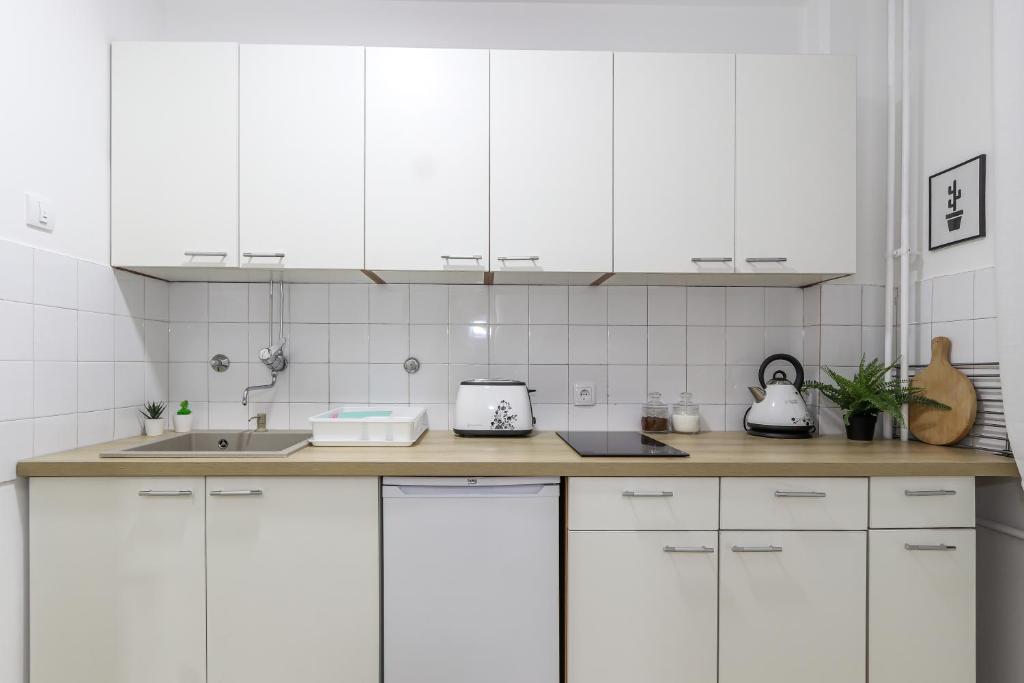 Skroman, čist i udoban apartman u Ivana Ribara za dvoje - 3