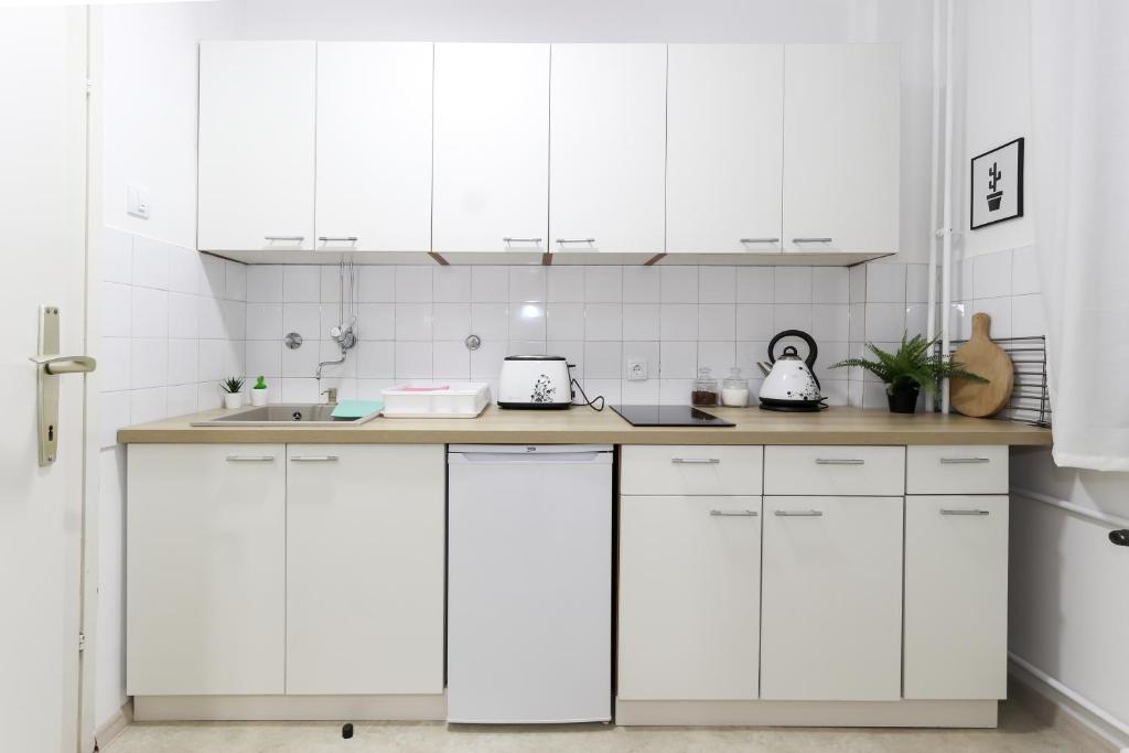 Skroman, čist i udoban apartman u Ivana Ribara za dvoje - 4