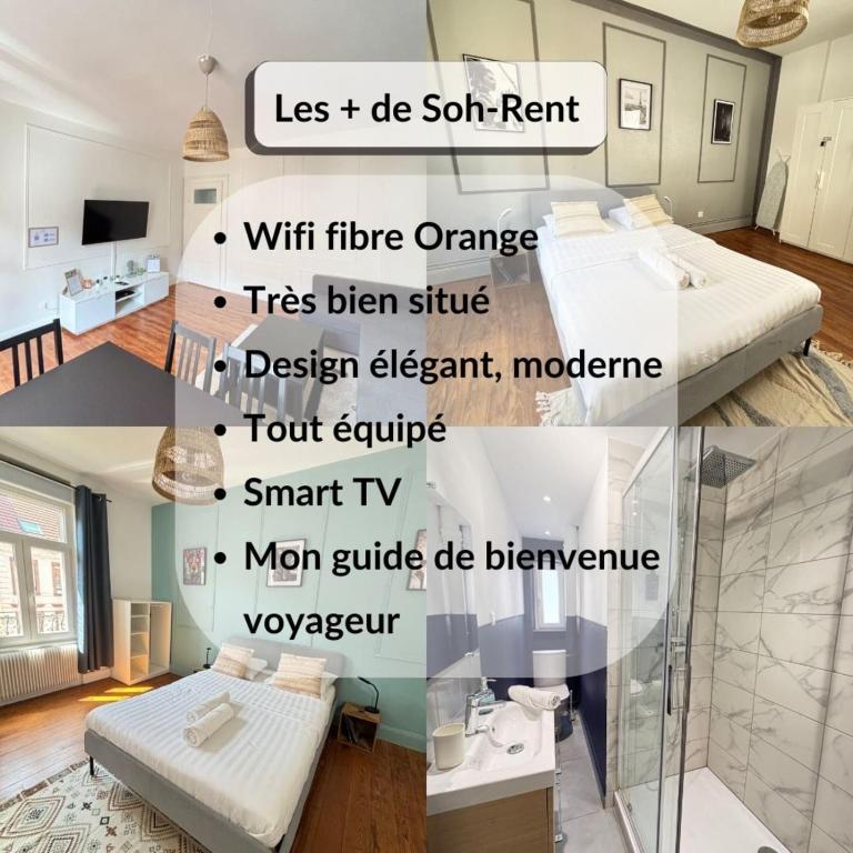 Soh Rent Appartement 4 proche gare et Centre de Strasbourg TV - Wifi - 2