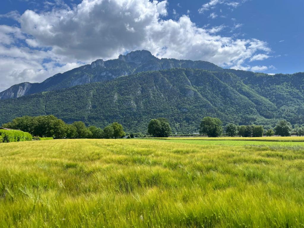 Annecy Genève & Rochexpo - 5