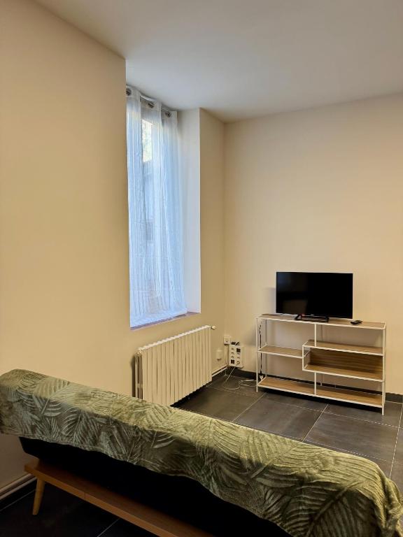 Appartement à Vienne - 4