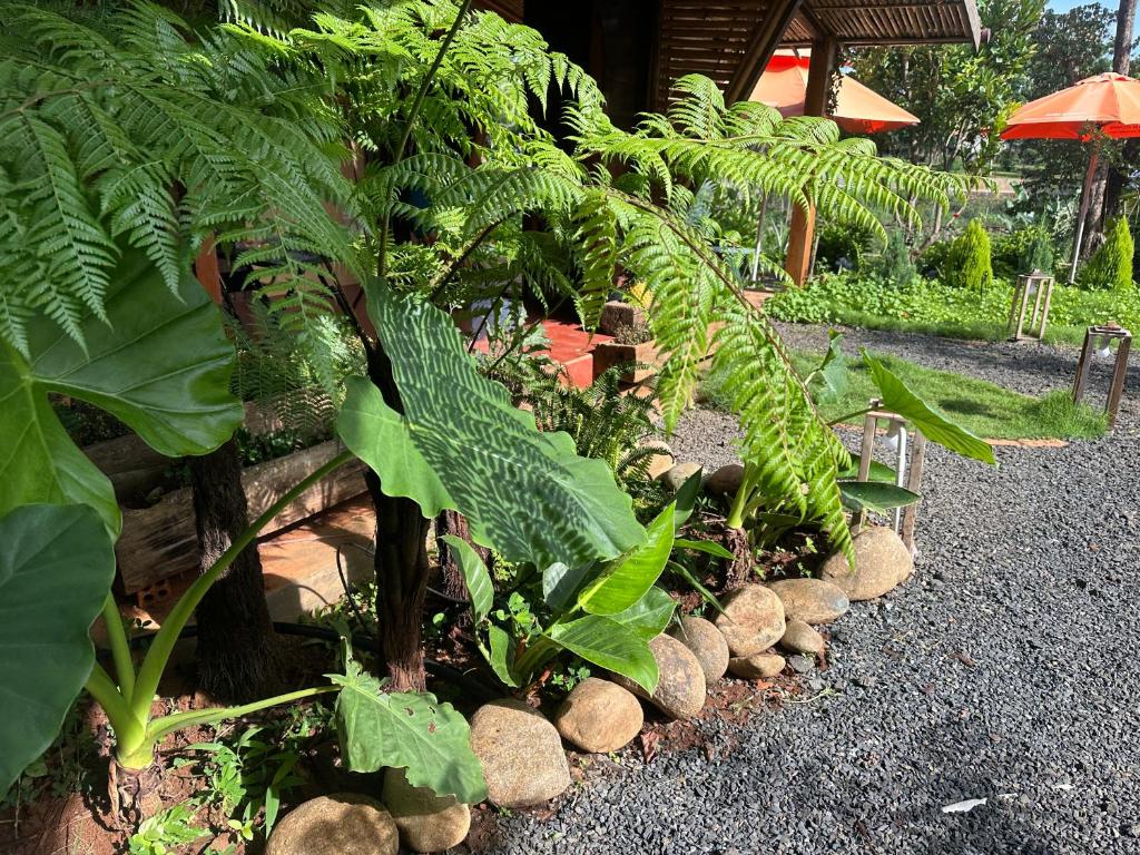 Riverside, Hòa Bình