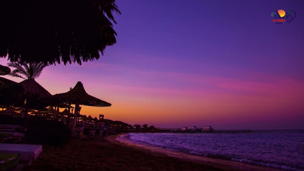 Ali Baba Palace Resort - Families and Couples Only — Beach in Hurghada, Red Sea