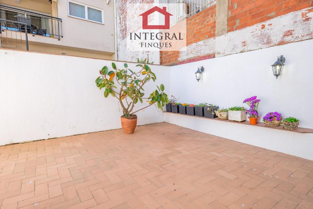 La Moderada de Palamós - 3