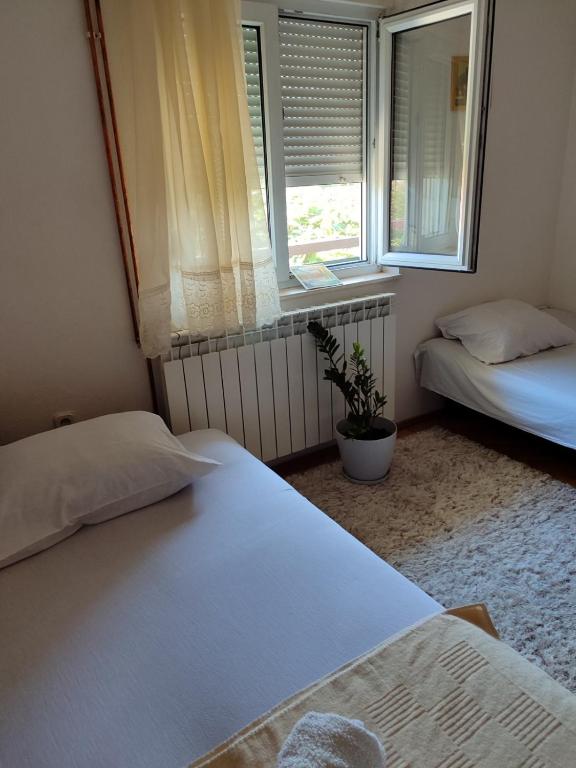 Apartman Petar - 3